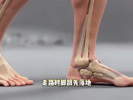 #当你学会走路用腰发力 #曹锦锋PRI