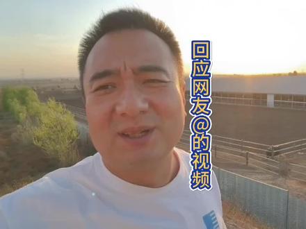 回复网友艾特我们的视频,巴基斯坦的牛因为打催奶针,所以牛奶产量高吗?今天咱们聊聊#奶牛#水牛#产奶#催乳