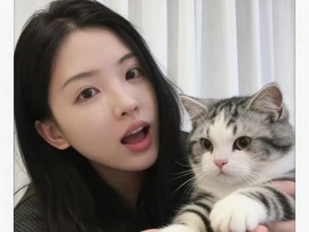 好有爱好喜欢,和猫咪相拥合照ai指令教程来啦!#豆包#豆包ai#豆包P图已经nextlevel了#和宠物合照#和宠物合照指令 和猫咪合照 和自家萌宠合照