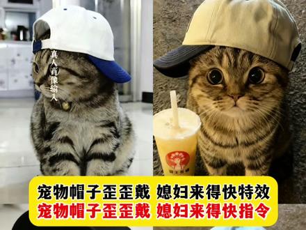 帽子歪歪戴,媳妇来的快,小猫帽子歪歪戴豆包指令 抖音ai猫咪帽子 小猫戴帽子豆包ai指令 歪帽宠物可爱帽 猫咪帽子造型 猫咪歪戴帽子 猫咪可爱帽子 猫咪帽子露耳朵 高冷猫帽子 猫咪歪帽特效教程 猫咪帽子 帽子歪歪戴特效 小猫帽子特效 #帽子歪歪戴 #都说帽子歪歪戴 #小猫戴帽子特效 #豆包ai #豆包p图已经nextlevel了 小猫耳朵帽子 歪头猫原视频 云南山歌帽子歪歪戴 蓝色歪帽子特效入口 鸭舌帽歪戴小猫图片 歪帽子猫咪特效 小猫眼镜框 猫咪搞怪帽子 戴帽子的小猫 鸭舌帽歪着戴 猫咪帽子歪歪戴特效教程 歪戴小猫豆包口令 猫咪戴帽子特效ai指令 小猫可爱帽子特效 帽子歪歪戴小猫豆包口令 歪歪戴帽子图片教程 猫咪帽子ai 戴帽子小猫拍照 小猫帽子ai口令 小猫帽子歪歪戴ai指令 都说帽子要歪歪戴的口令 小猫戴帽子的口令 小猫戴帽子豆包ai指令 小猫戴的帽子鸭舌帽 小猫帽子ai怎么写 猫咪帽子特效 帽子歪歪戴小猫豆包口令 猫咪帽子特效怎么制作 小猫戴的鸭舌帽 小猫鸭舌帽特效 小猫鸭舌帽豆包指令 小猫鸭舌帽是哪个特效 小猫特效带鸭舌帽的照片怎么拍 头顶小猫特效制作教程 猫咪戴帽子特效 猫咪戴帽子特效ai指令 小狗戴帽子ai特效教程来了!!小狗带帽子小狗戴帽子特效蓑笠翁帽子歪歪戴小狗豆包口令 小狗戴帽子特效ai指令 小狗可爱帽子特效 帽子歪歪戴小狗豆包口令 歪歪戴帽子图片教程 小狗帽子ai 戴帽子小狗拍照 小狗帽子ai口令 小狗帽子歪歪戴ai指令 都说帽子要歪歪戴的口令 小狗戴帽子的口令 小狗戴帽子豆包ai指令 小狗戴的帽子鸭舌帽 小狗帽子ai怎么写 小狗帽子特效 帽子歪歪戴小狗豆包口令 小狗帽子特效怎么制作 小狗戴的鸭舌帽 小狗鸭舌帽特效 小狗鸭舌帽豆包指令 小狗鸭舌帽是哪个特效 小狗特效带鸭舌帽的照片怎么拍 头顶小狗特效制作教程 小狗戴帽子特效 小狗戴帽子特效ai指令 没到冬天小猫就戴上保暖头套了 当橘猫被强制开机 云南山歌热门推荐 猫咪搞怪帽子 豆包p小猫帽子 云南山歌热门曲目 云南十八怪