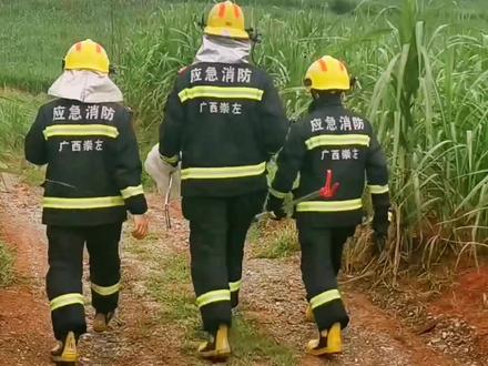 暑假抓蛇连续剧来了(三)(有十八斤…也不懂是不是真的)#崇左消防抓蛇 #未完待续 #热门