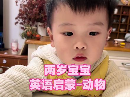 两岁宝宝每天英语启蒙,今天挑战动物英语,天天磨耳朵没白听#英语启蒙 #育儿 #亲子日常 #幼儿英语 #你认为的样子真可爱