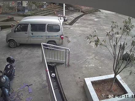 这比特前天才收回来的,今天就打架了,咬起分都分不开