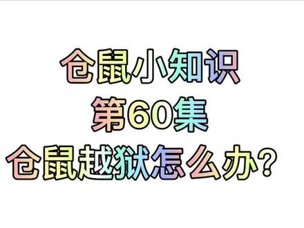 仓鼠小知识第60集:仓鼠越狱怎么办?#仓鼠 #仓鼠日常 #仓鼠宝宝
