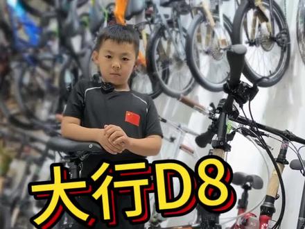 大行折叠自行车D8,骑行入门款碟刹车型,颜色有黑色,白色,橙色#大行折叠自行车