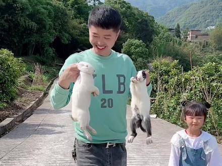 爸爸抓兔子,一次抓两只!#妙可一家 #我的乡村生活