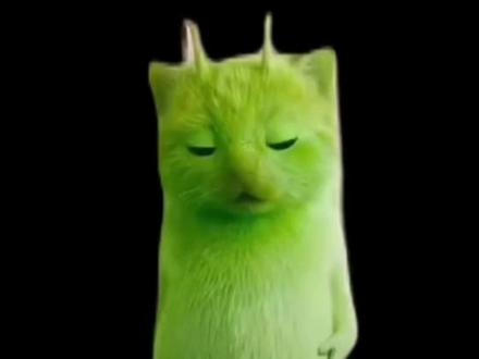 外星小绿猫无水印免费保存教程来了 外星小猫无水印获取教程 外星小绿猫素材 小鸡舞绿幕素材 小鸡舞小猫素材 小猫素材免费保存 小鸡舞绿色小猫 外星小绿猫素材下载 小猫跳舞绿幕素材 外星小猫绿幕素材 喵喵喵喵喵 小鸡舞挑战小绿猫素材抠图 小鸡舞挑战小绿猫素材 小绿猫小鸡舞 #小绿猫 #小鸡舞挑战小绿猫 #剪映 #小鸡舞小绿猫素材 #小鸡舞绿幕素材