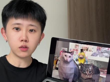 猫咪3d纸模 纯纯的体力活 #3d纸模