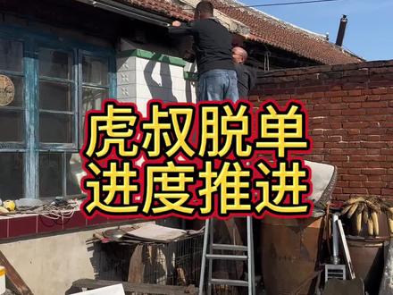 今日虎叔推进脱单进度,老舅继续摆烂#生化老舅 #小院改造