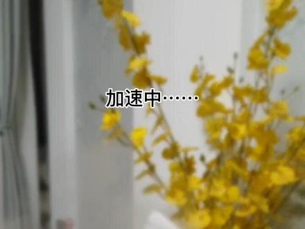 教你如何熏球,提高羽毛球耐打性#羽毛球 #威羽斯羽毛球 #熏球