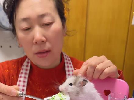 当鼠鼠姥姥驯服迷你厨具! #新春萌宠才艺大赏#宝贝年味企划#万物可爱计划 #蔡可爱爱仓鼠 #我的仓鼠搭子