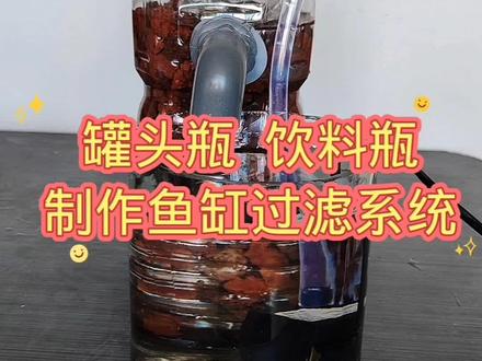 罐头瓶做鱼缸饮料瓶制作最强过滤系统,成本够低不@抖音小助手 #自制过滤器 #不要的瓶子还能这样 #变废为宝 #废物利用 #轻松养鱼