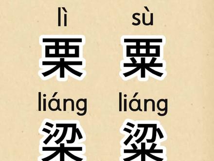 学习汉字 “栗、粟、梁、粱”。#幼儿识字 #成人识字 #一般人不告诉他 #认字识字 #每天跟我涨知识