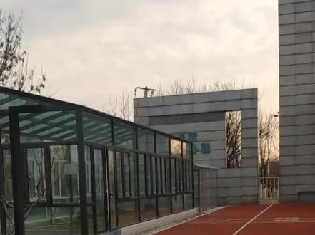 终于找到偷萝卜的贼了!看我不打死你!#天津火焰蓝 #蓝朋友