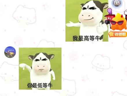 哈哈哈哈哈哈哈谁懂#抽象 #牛牛表情包