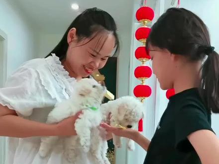 让五只狗抓阄起名字,萌萌起的名字不能听#vlog日常 #萌宠 #母女日常