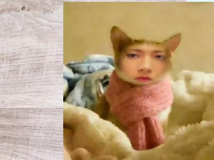 不完全沉浸式拆专#enhypen #专辑 #Kpop #小卡