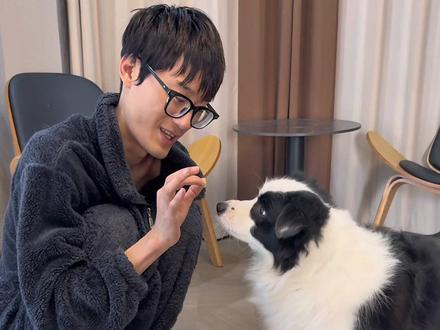 全家最厉害的是一只边牧.. #狗狗的心思都写在脸上了 #猜杯子游戏 #精神状态belike