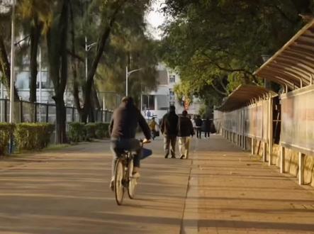 山东这4所大学考生一定要注意#志愿填报 #高三 #高考 #高三家长必看