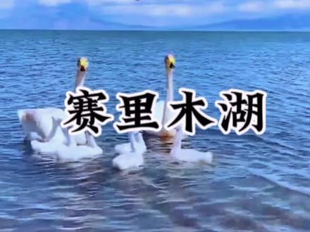 新疆赛里木湖#国庆超会玩指南 #旅行推荐官 #旅行攻略 #国庆旅游景点推荐 #旅行大玩家