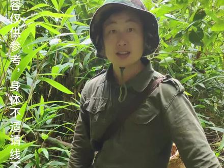 #农村大表哥带你认识鸟都不敢在上面站的植物,虎刺,又叫“绣花针”。你们那里叫什么呢?你知道它有什么作用么?#户外##大自然的馈赠#新农人计划2022 #抖音小助手