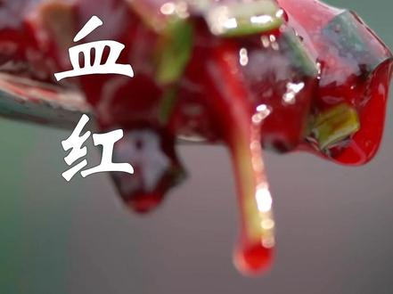 将热水直接倒入新鲜猪血中,这种广西的猪活血你吃过吗? #猪活血 #广西美食 #广西特色美食 #壮族美食 #中国美食录