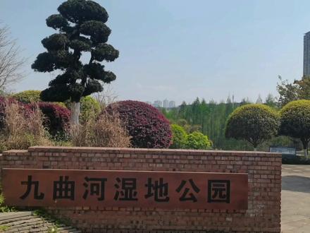 九曲河湿地公园,占地3300亩全长5公里,闲庭信步的好去处。
