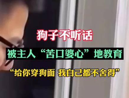 狗子不听话 被主人“苦口婆心”地教育