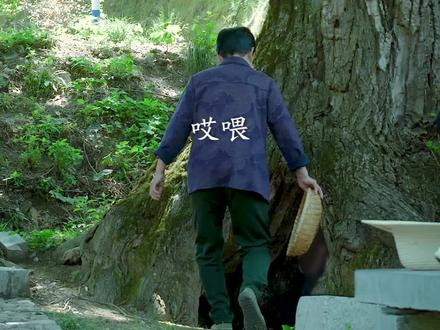 姥姥拿鸡蛋碰石头,再加上槐花,香嫩可口不油腻!江湖名菜名不虚传。#跟着抖音学做菜 #新农人计划2022