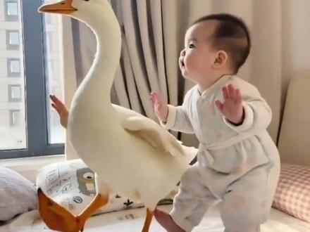 Ai跳鸭子步舞蹈制作教程#ai跳鸭子步 #鸭子舞步挑战 #ai鸭子舞#跳鸭子舞 #剪映 鸭子舞鸭子跳舞视频教程 ai鸭子舞生成视频 跳鸭子舞的视频 跳舞ai特效一键生成 鸭子舞步ai教程 跳舞特效 鸭子舞步素材 鸭子舞步
教程 特效舞蹈 ai跳鸭子舞 跳鸭子舞的本人 魔性鸭鸭舞鸭子舞原版完整版 和鸭子一起跳舞特效 跳鸭子舞 鸭子可爱视频 乐逍遥 ai鸭子舞特效教程 ai生成跳鸭子步