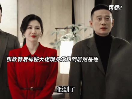 张欣背后的大领导任谁也想不到 #罚罪2 #因为一个片段看了整部剧