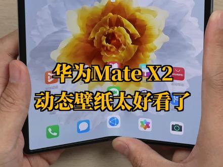 华为Mate X2的三张专属动态壁纸:哪个开花最好看?