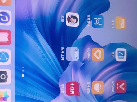 #健康使用平板#恢复出厂设置
最后恢复出厂设置了