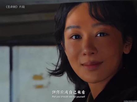 当我用杨紫《生命树》语录打开西藏#生命树杨紫#西藏#自驾318 #旅行推荐官