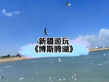 #夏天去哪玩 #夏天就要去海边
不出新疆也能看到大海#大美新疆