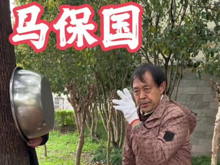 #挑战一秒八拳 #武术 #高手 #功夫 朋友们,我72岁了,几湿年来,坚持锻炼,头发还是黑黑的,每天开心活到老。