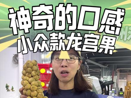 一款99%的人都没有吃过的水果-龙宫果! #水果测评 #水果 #龙宫果 #水果a泥 #好吃