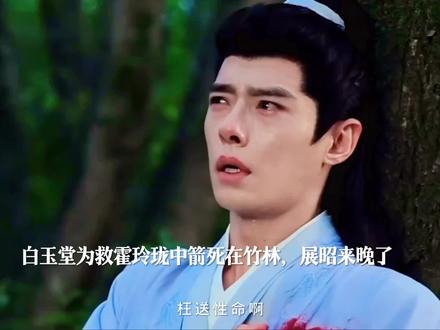 白玉堂为救霍玲珑中了箭下线,展昭来晚一步只能对着竹子泄愤,如果当初白玉堂不和自己来调查襄阳王,或许能永远和五鼠在一起快乐地生活着,展昭没有想到襄阳王的势力庞大手下能人高手众多,即使是自己也经常不能全身而退,匡扶正义的道路上注定要失去很多。#雨霖铃