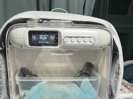 #希格尔保温箱 希格尔保温箱测评,还有什么疑问尽管提