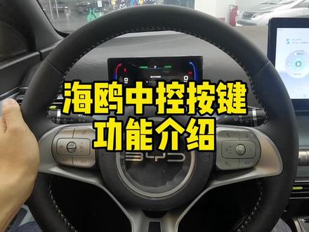 #比亚迪 #用车小常识 #适合女生开的车 #比亚迪海鸥 可爱的小海鸥提回家了,先看看中控怎么操作吧