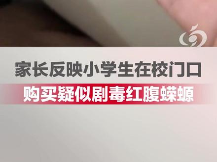 小学周边疑似售卖含剧毒的日本红腹蝾螈,学校:已叫停商家售卖,并将相关情况反馈至市场监管部门 #小学生 #活体动物 #爬宠 #大河主播说 (豌豆)