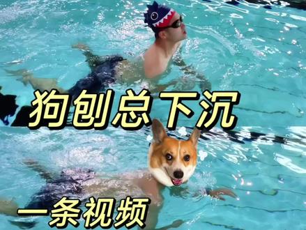 狗刨下沉的真正原因找到了!赶快去试试🏊♂️ #狗刨 #游泳下沉 #游泳训练 #游泳教学 #沈阳学游泳