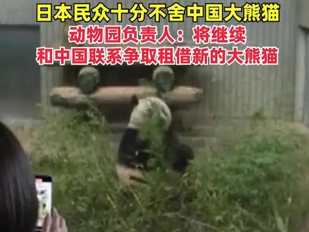 #日本明年可能陷入无大熊猫境地 ,#日本民众十分不舍中国大熊猫 ,动物园负责人:将继续和中国联系争取租借新的大熊猫