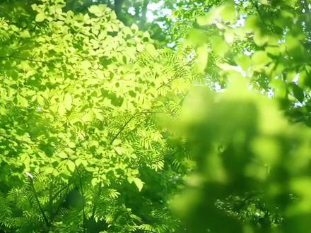 火日立:我只是选了最笨,但最保险的方式~ “他山之石,可以攻玉”
“摩尔曼斯克是北极唯一个不冻港,乐知时是宋煜唯一的过敏原”
#可爱过敏原 #宋煜乐知时 #稚楚 #猫耳fm #锦鲤 (补一个cv:史泽鲲)@抖音小助手 @DOU+上热门