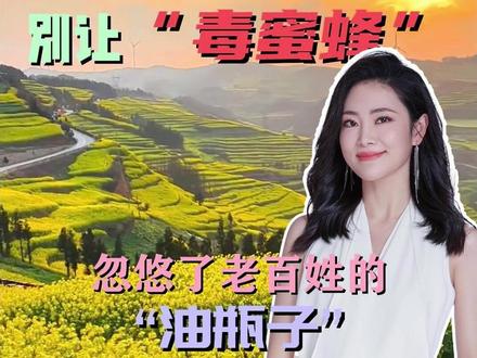 别让“毒蜜蜂”的传言,忽悠了老百姓的“油瓶子” #无人机 #油菜花 #蜜蜂 #辟谣 #媒体精选计划