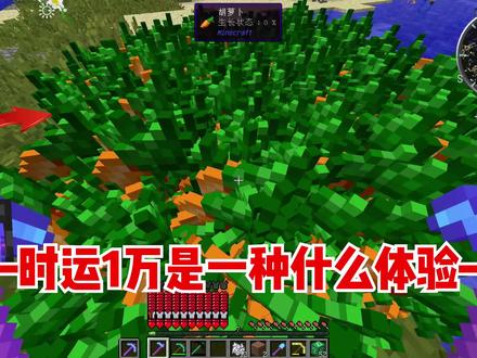 我的世界龙的传说5:时运1万是一种什么体验! #我的世界