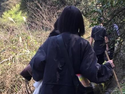 今天,和我们出发去重庆金佛山寻找古老的树——银杉。#秀我中国 #金佛山 #真实户外 #在玩一种很新的户外 #大自然的馈赠