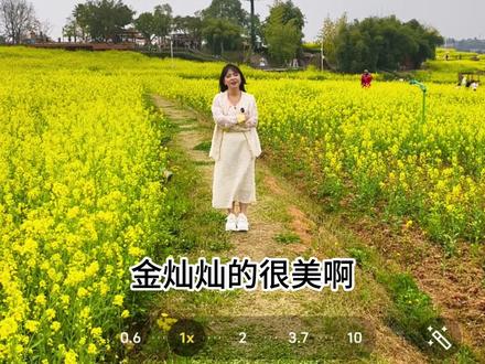 油菜花海拍照技巧,不踩花田也能拍出氛围感照片~ #是谁打翻了大自然调色盘 #春天的味道 #手机摄影 #摄影技巧 #拍照技巧