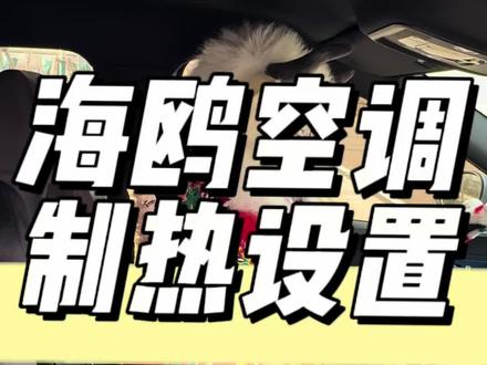 空调有时候不制冷不制热,出风口没有风 快看看是不是这些没有检查好#比亚迪海鸥 #比亚迪 #每天一个用车知识 #用车技巧 #带你懂车