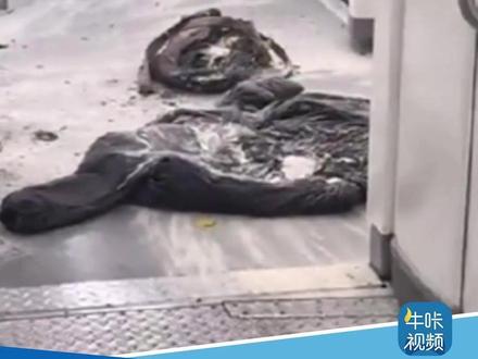 长沙地铁内一女生衣服自燃,地铁紧急制动车门未打开,官方:系充电宝自燃